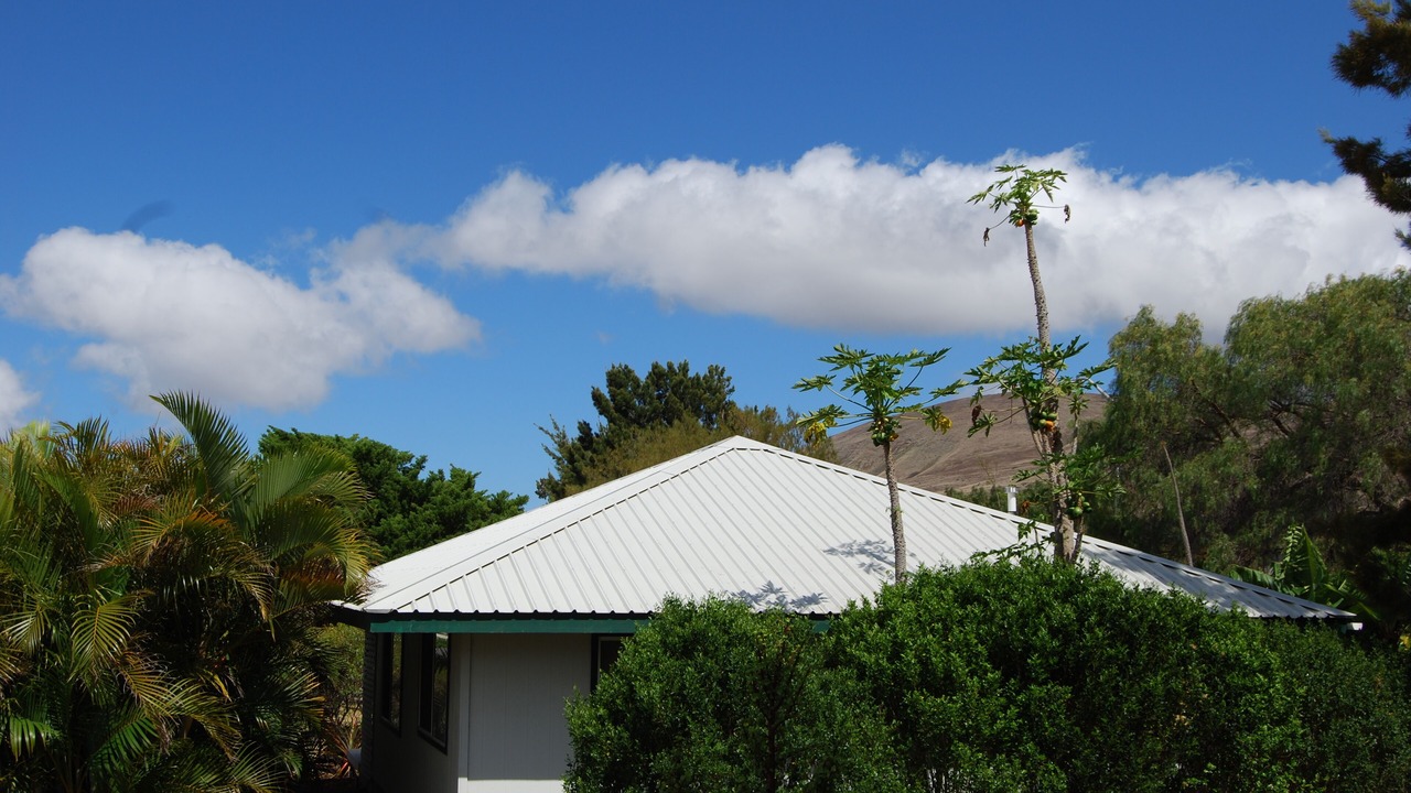 Photo of Outdoor in Kamuela