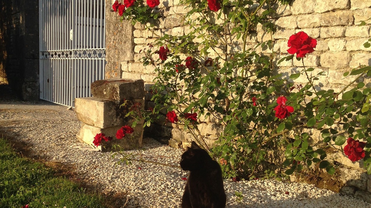 Photo of Outdoor in Echallat