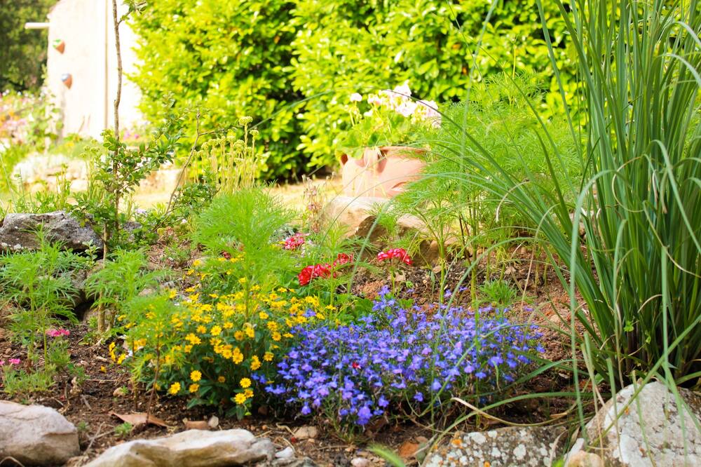 Photo of Outdoor in Arques
