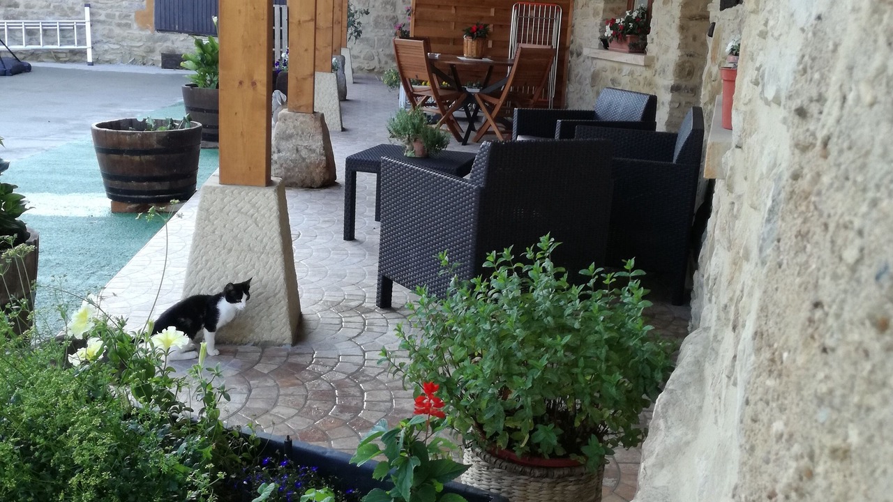 Photo of Patio Balcony in Narvaja