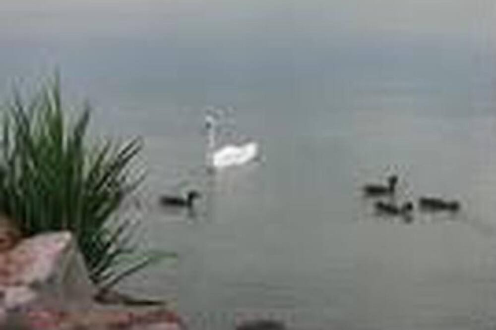 Photo of Others in Fonyod