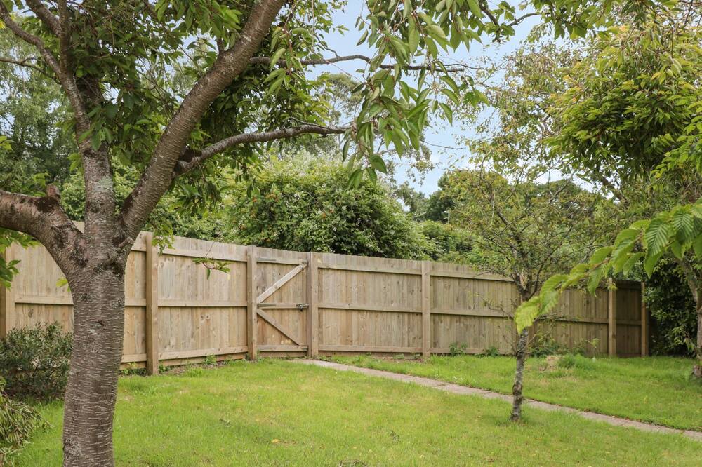 Photo of Outdoor in Dartmouth