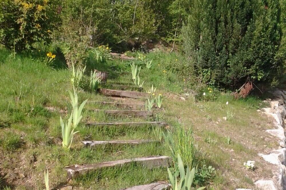 Photo of Outdoor in Orbey