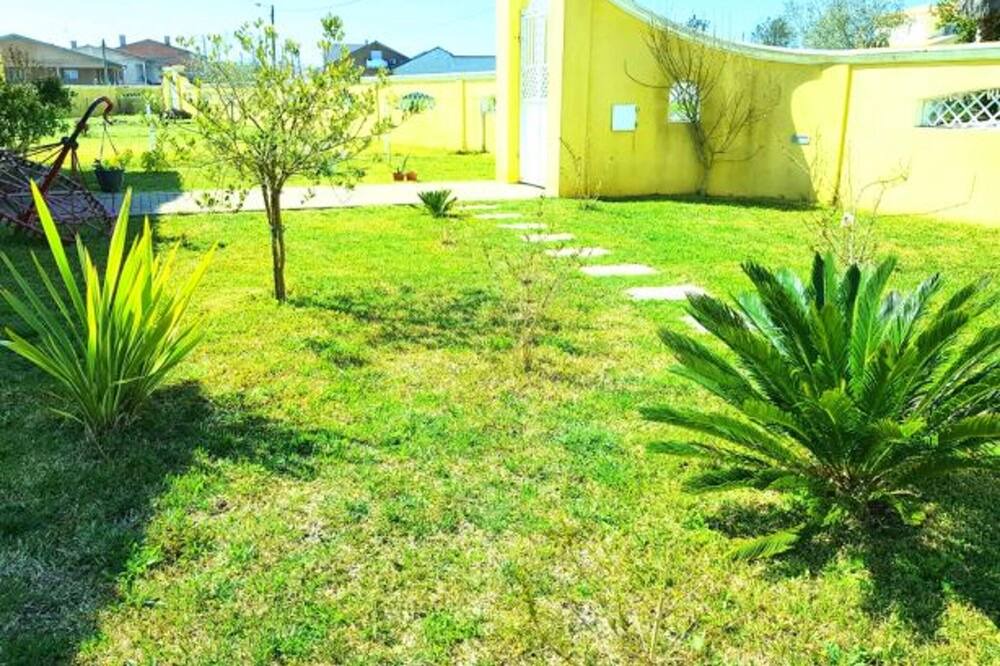 Photo of Outdoor in Ponte de Vagos