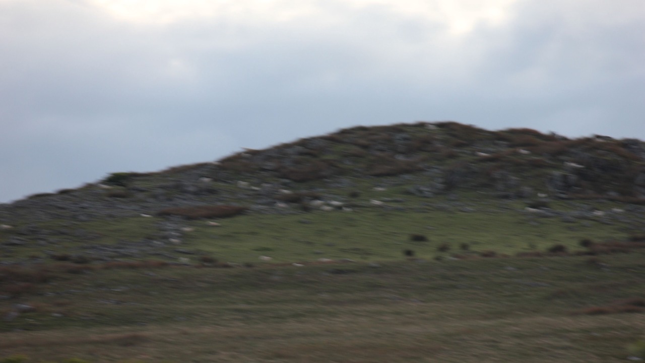 Photo of Others in Greencastle