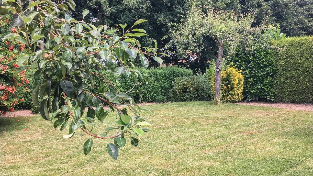 Photo of Outdoor in Stevensweert