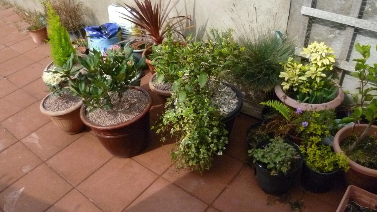 Photo of Patio Balcony in Belfast