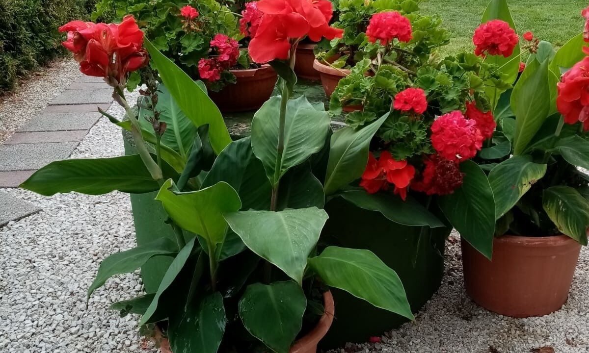 Photo of Outdoor in Balatonmariafurdo