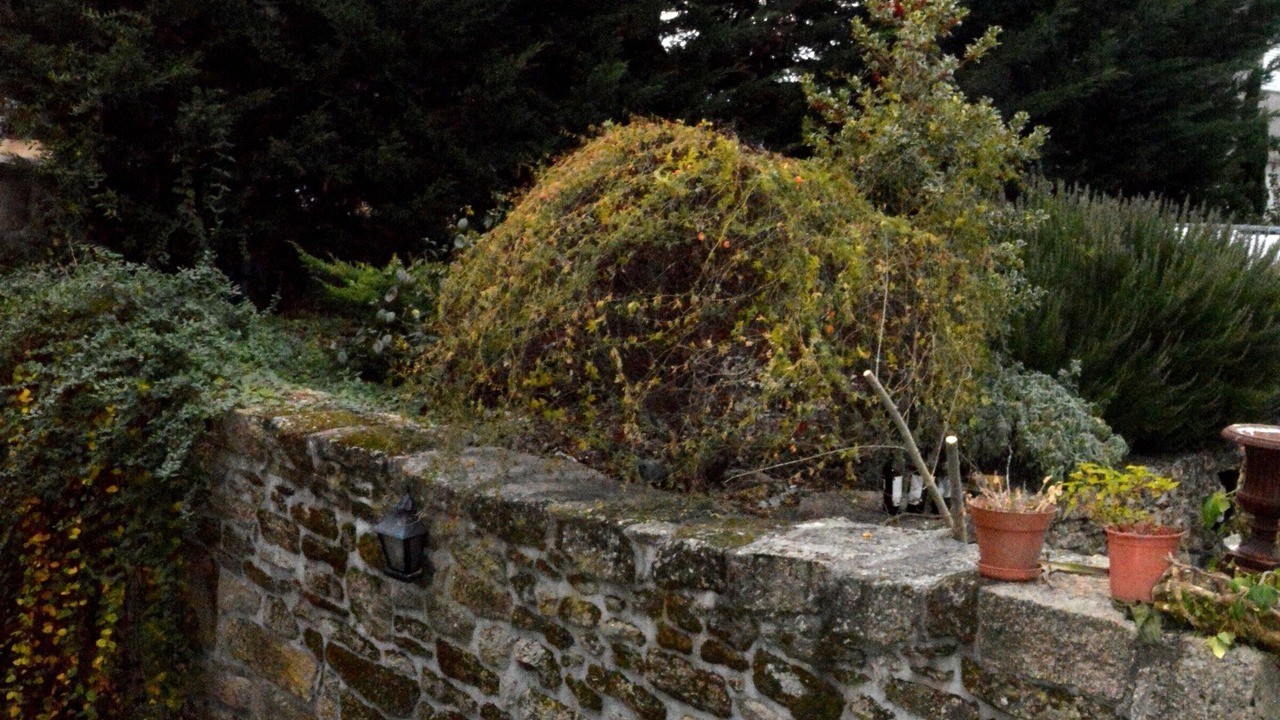 Photo of Outdoor in Casas Novas