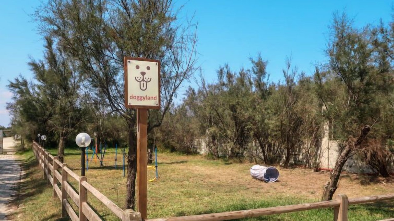 Photo of Outdoor in Torre Rinalda