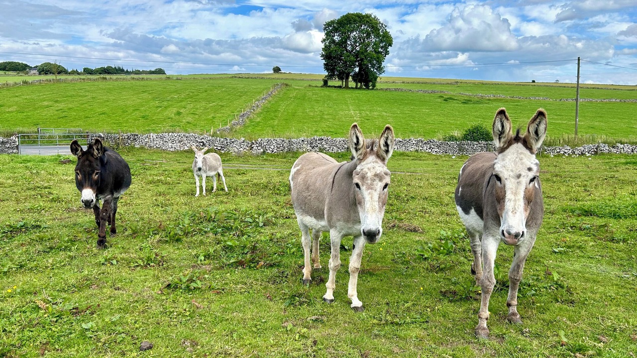 Photo of Others in Newton Grange