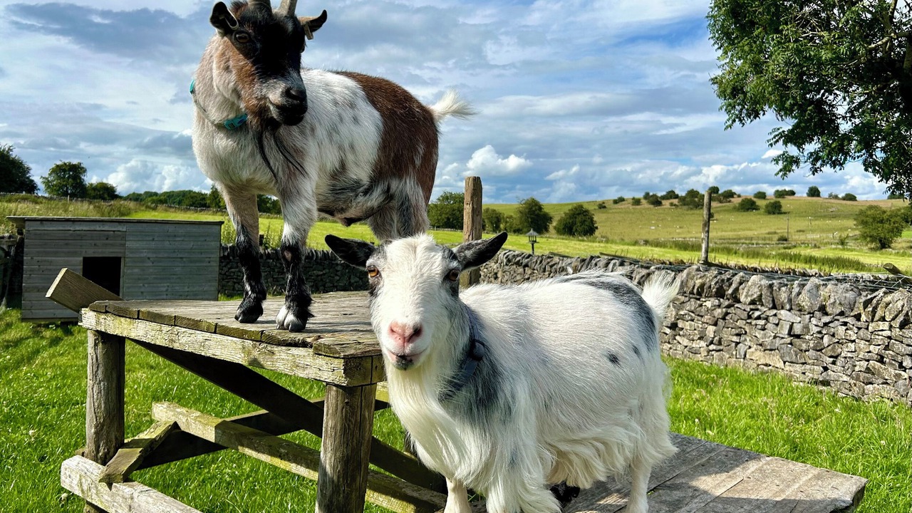 Photo of Others in Newton Grange