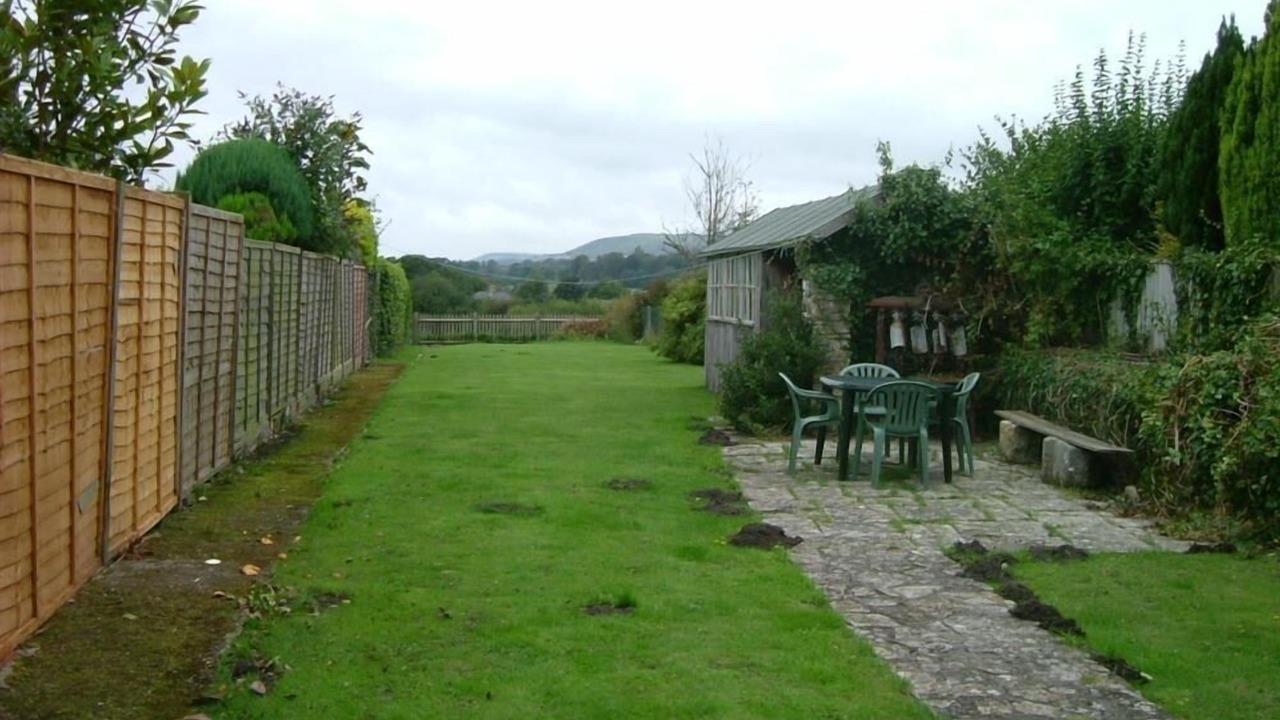 Photo of Others in Corfe Castle Village