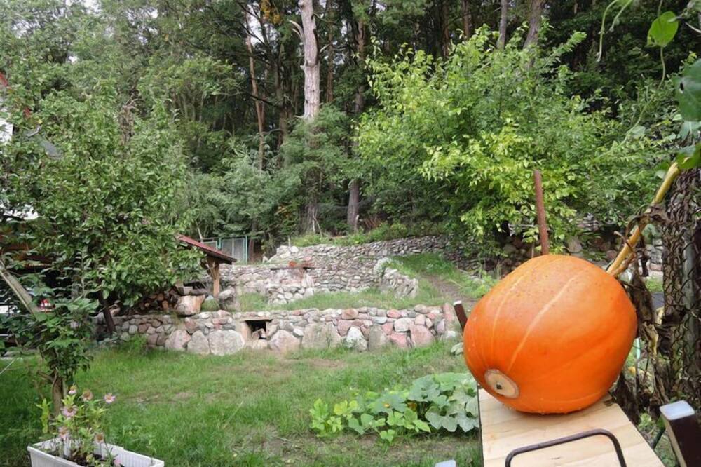 Photo of Outdoor in Wiselka