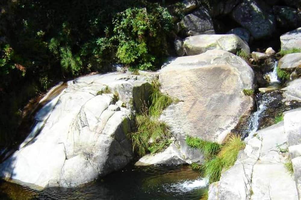 Photo of Others in Sao Pedro do Sul
