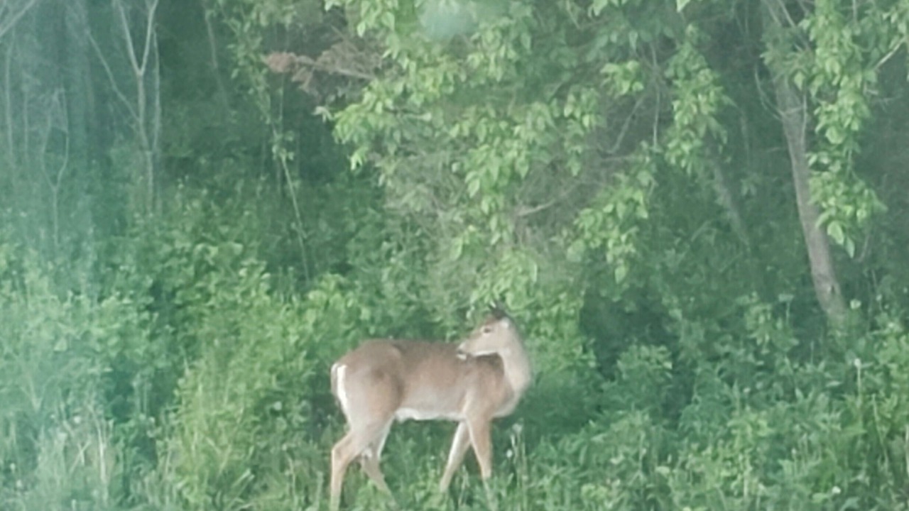 Photo of Outdoor in Franksville