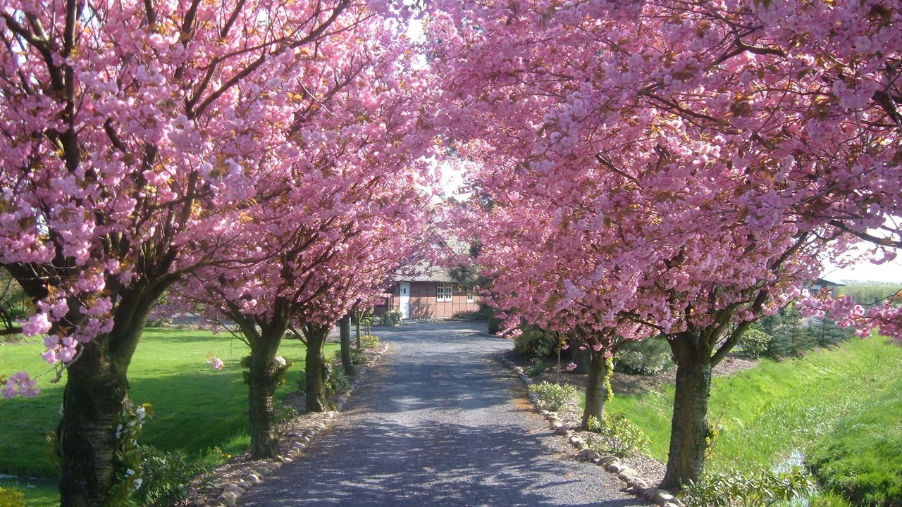Photo of Outdoor in Jork