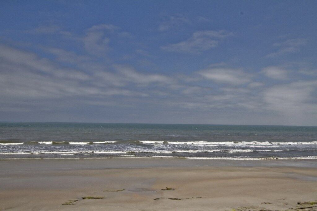 Photo of Others in Palm Coast