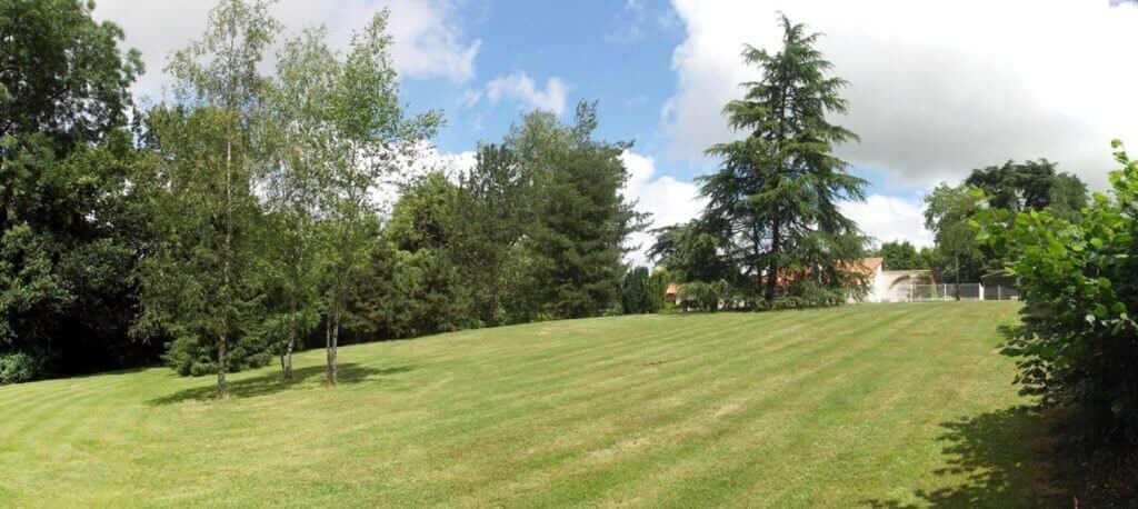 Photo of Outdoor in Saint-Fulgent