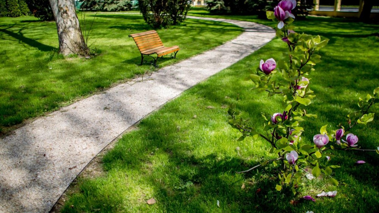 Photo of Outdoor in Zalacsany