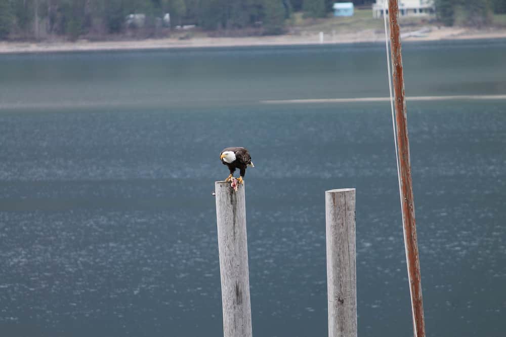 Photo of Outdoor in Central Kootenay