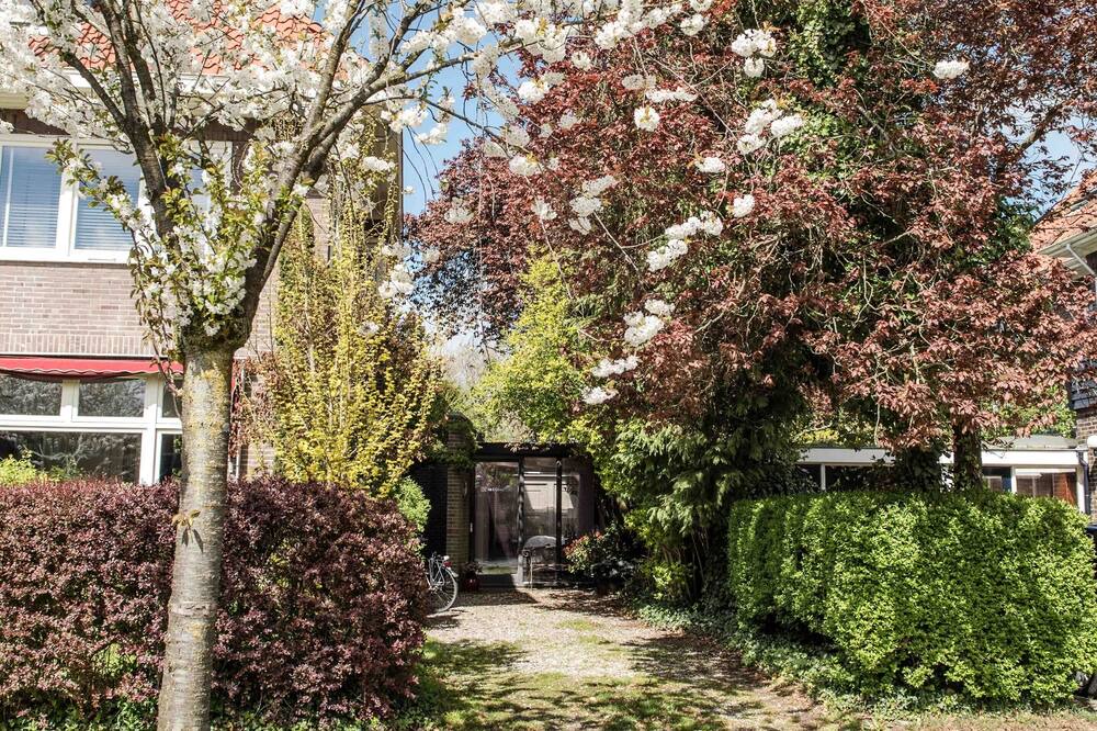 Photo of Outdoor in Oranjebuurt