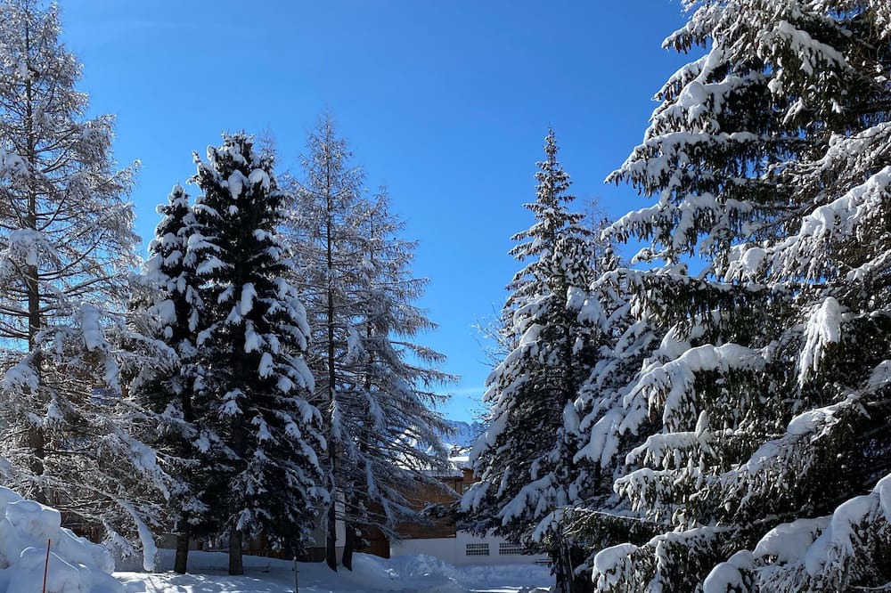 Photo of Others in Les Deux Alpes