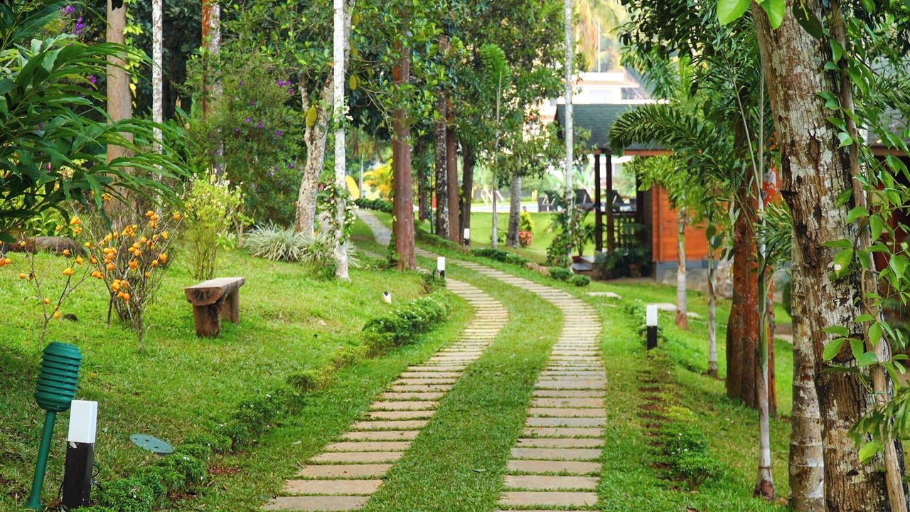 Photo of Outdoor in Vazhavatta