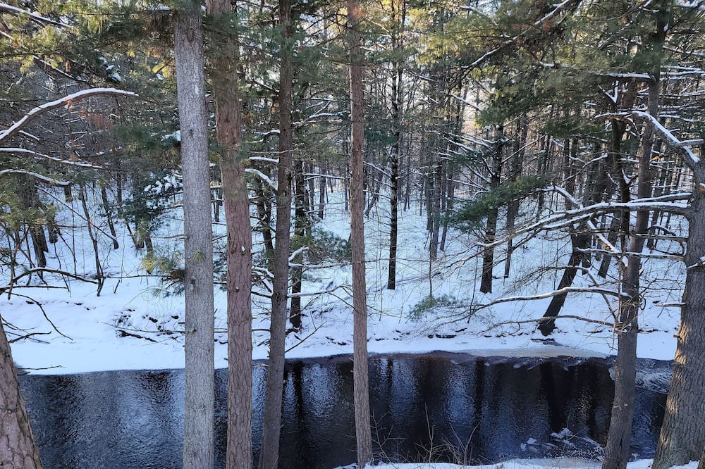 Photo of Outdoor in Willard