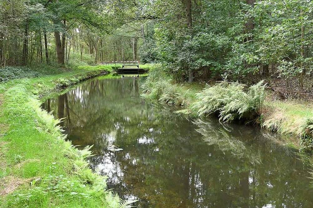 Photo of Outdoor in Stegeren