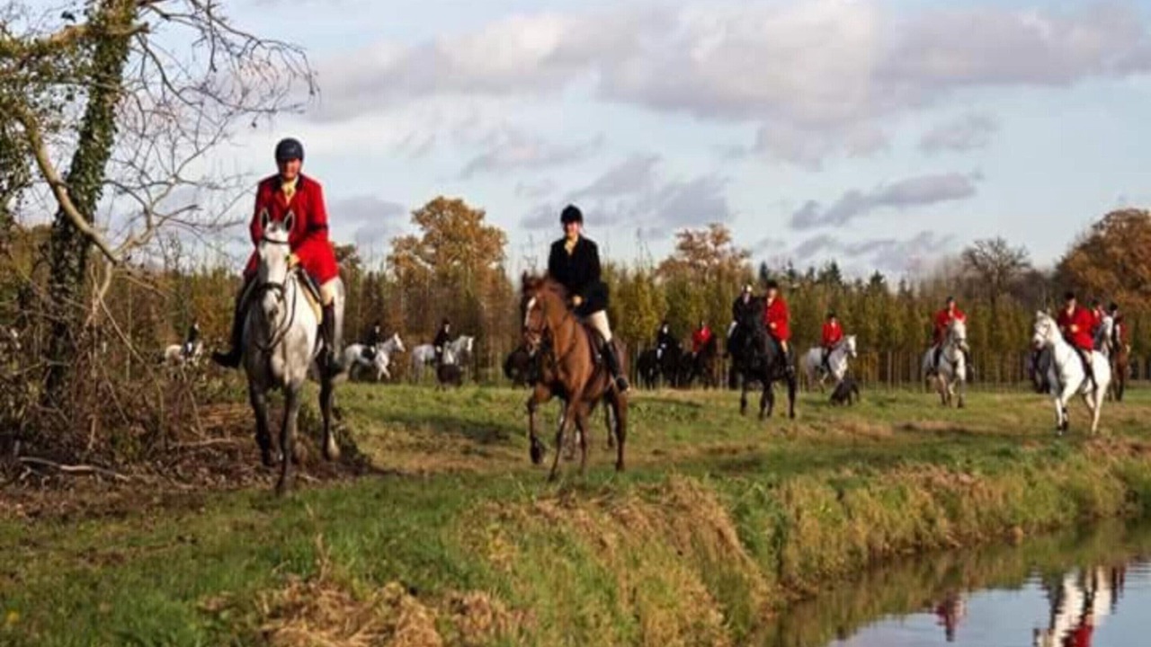 Photo of Others in Udenhout