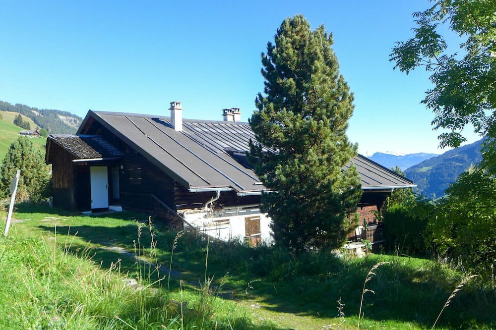 Photo of Others in Champery