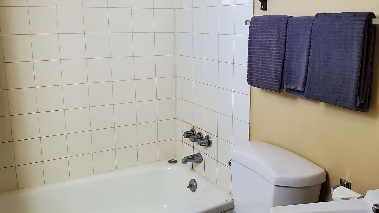 Photo of Bathroom in Wainwright
