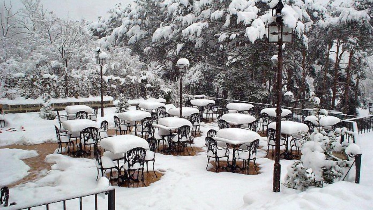 Photo of Others in Navacerrada