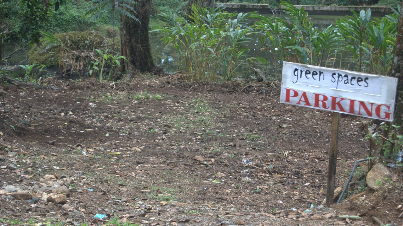Photo of Others in Moolakadai