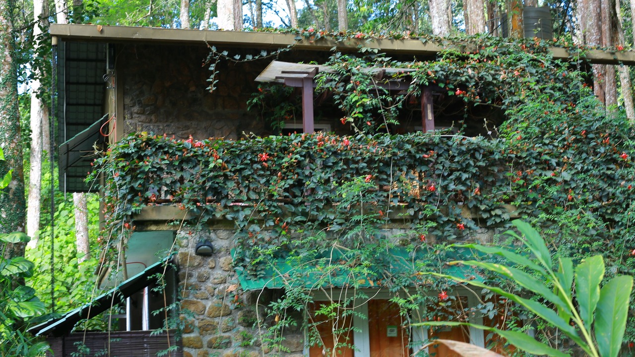 Photo of Buildings in Moolakadai