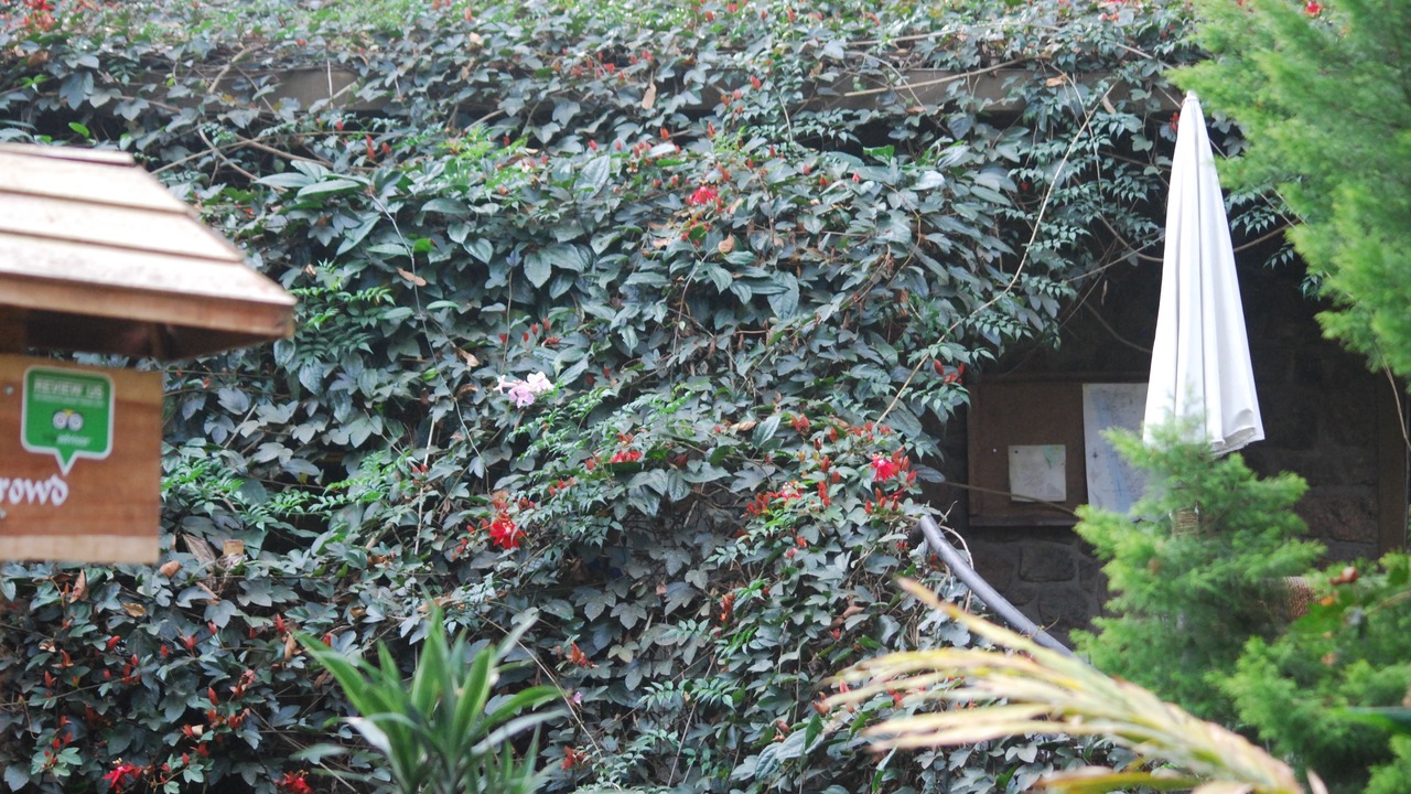 Photo of Outdoor in Moolakadai