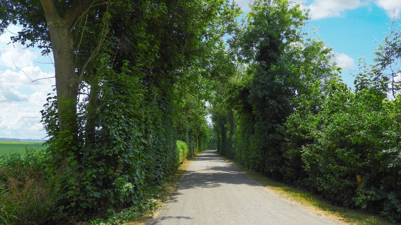 Photo of Outdoor in Grijpskerke