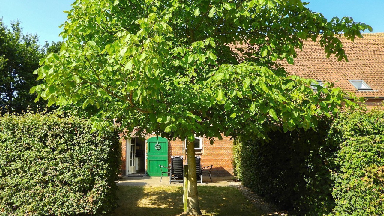 Photo of Outdoor in Grijpskerke