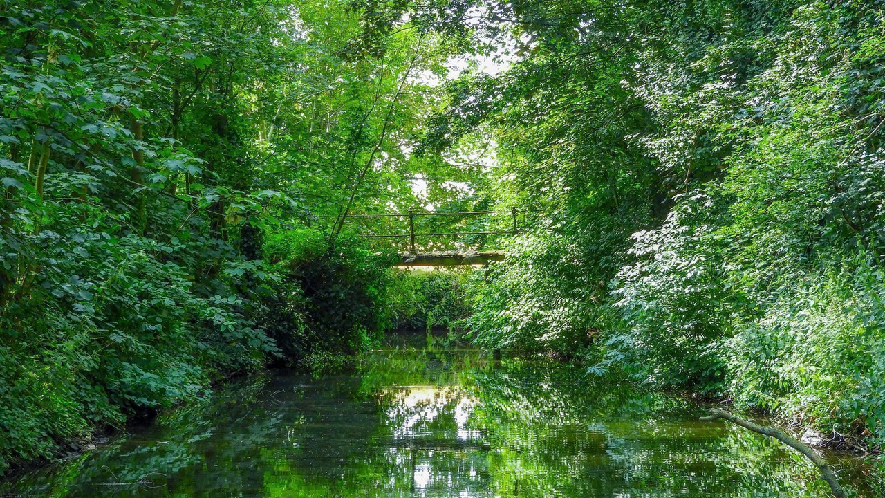Photo of Outdoor in Grijpskerke
