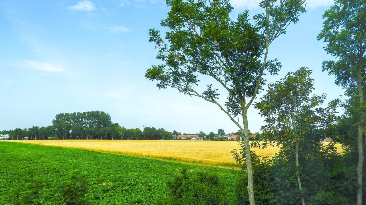 Photo of Others in Grijpskerke