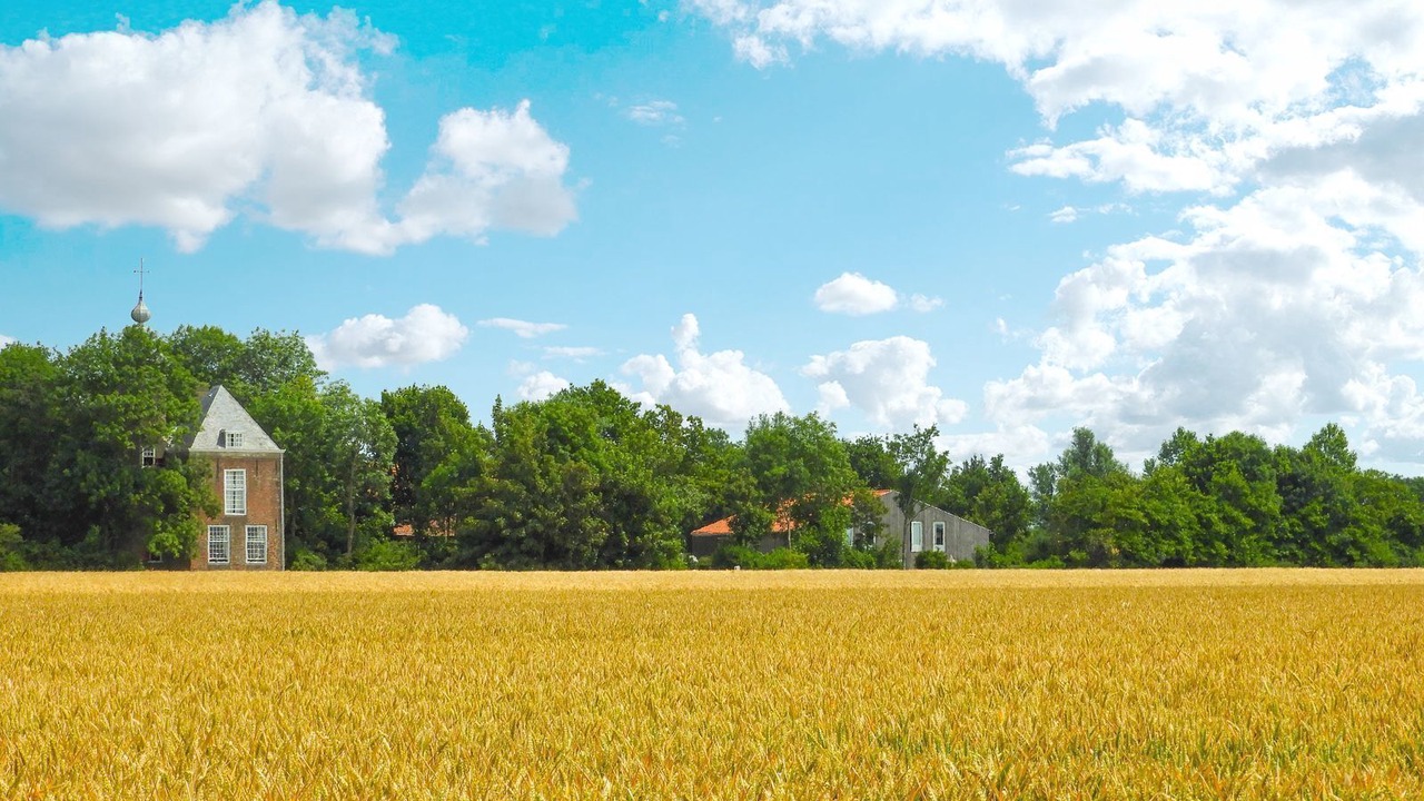 Photo of Others in Grijpskerke