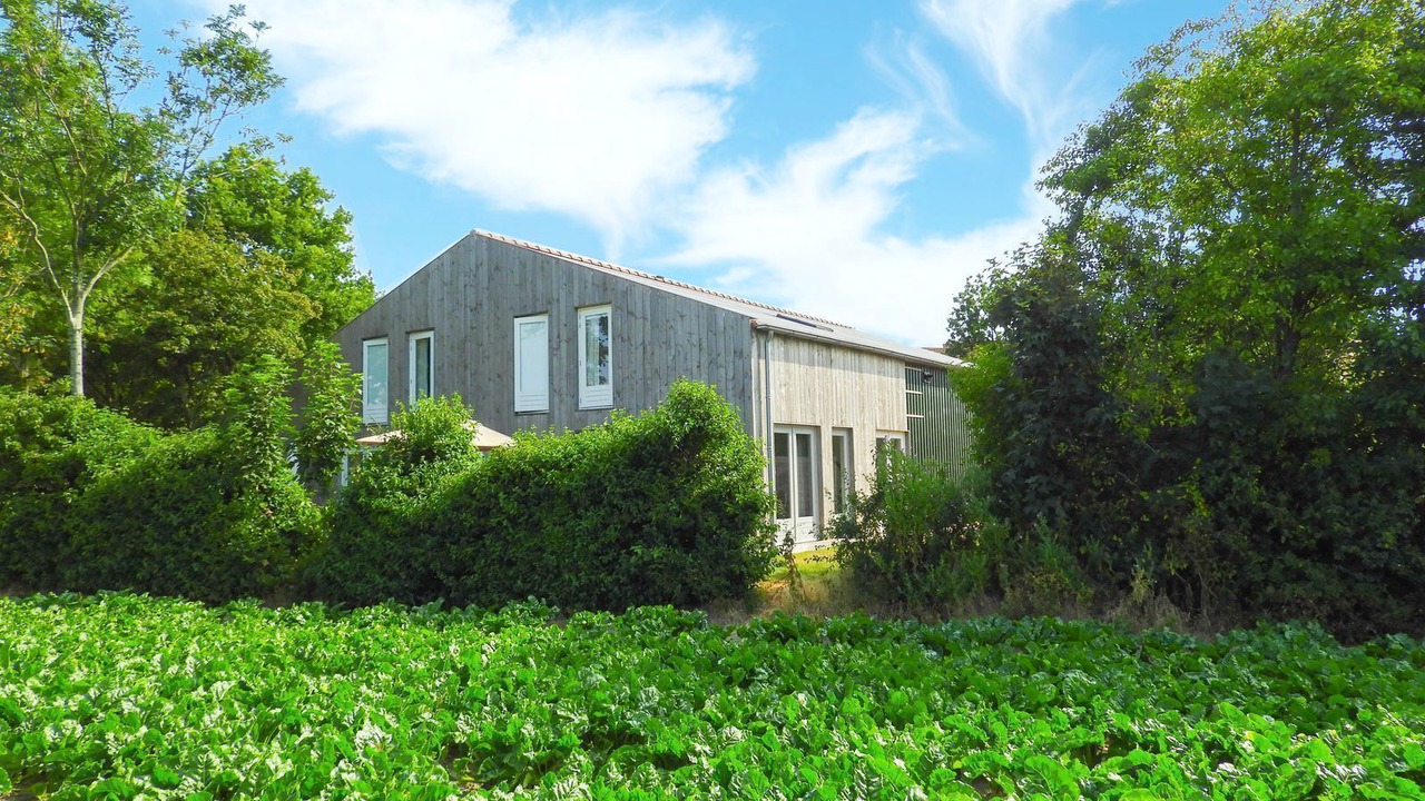 Photo of Outdoor in Grijpskerke