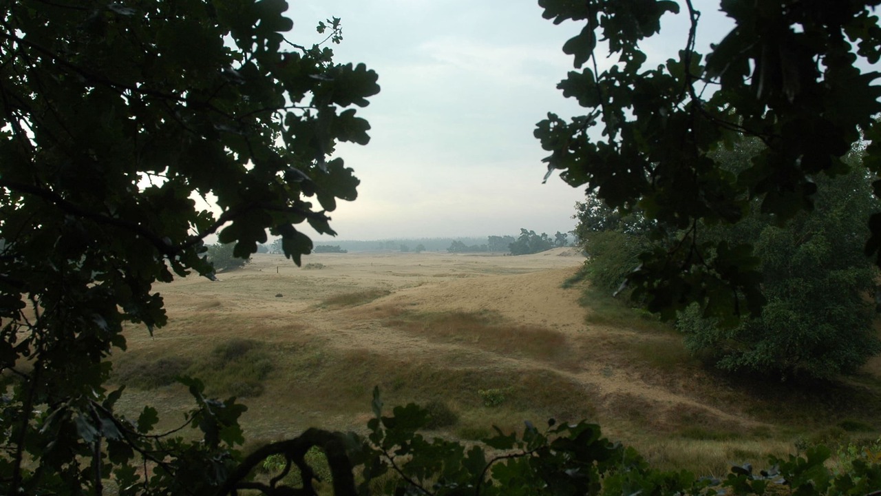 Photo of Others in Voorthuizen