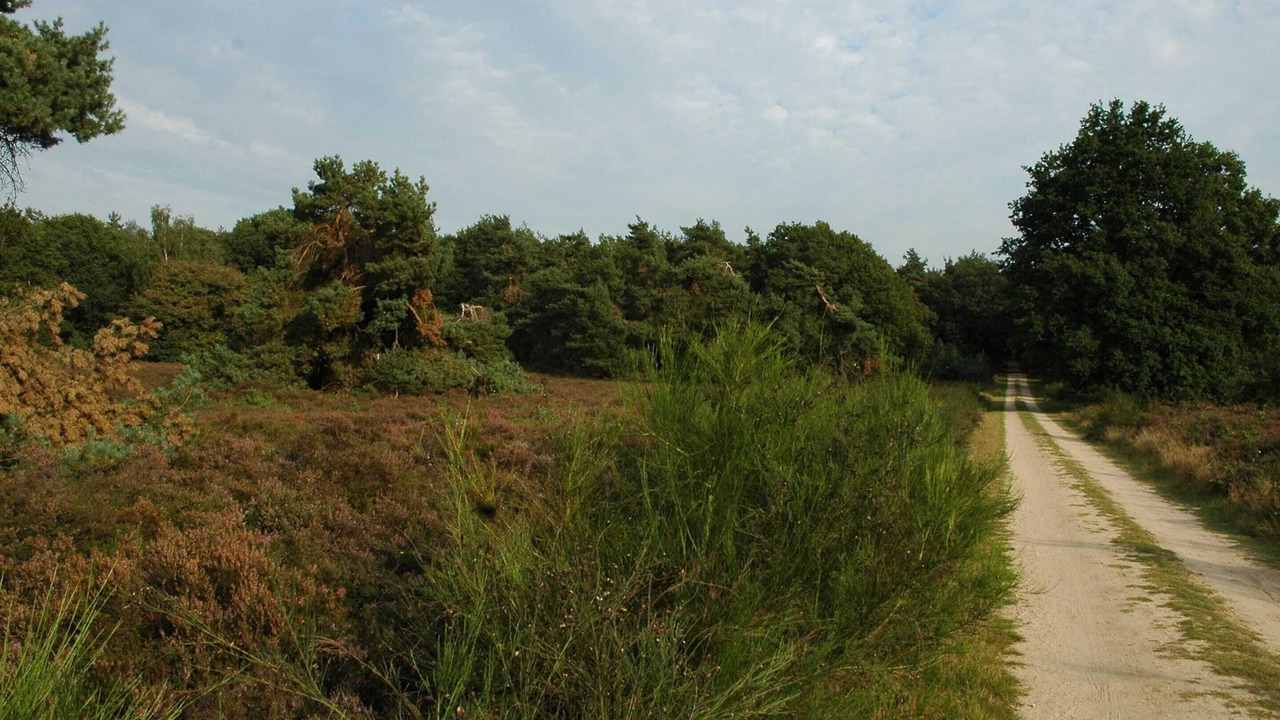 Photo of Others in Voorthuizen