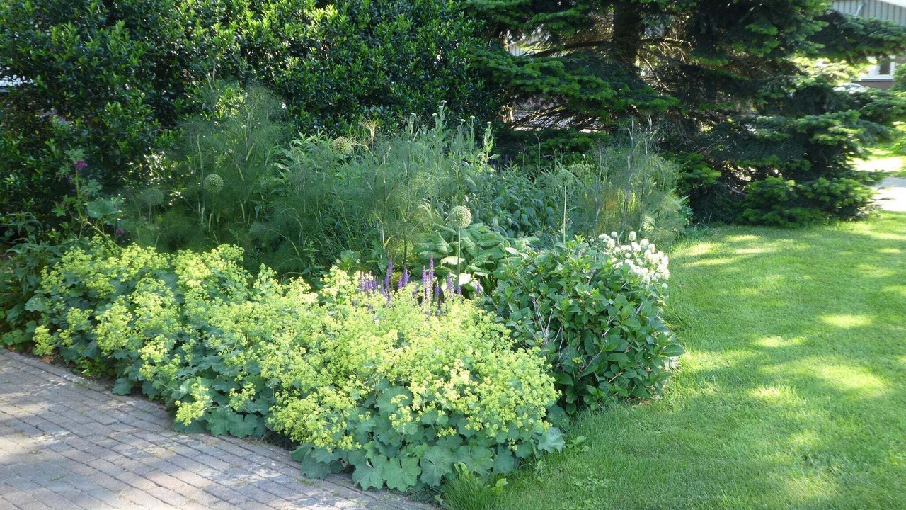Photo of Outdoor in Balkbrug