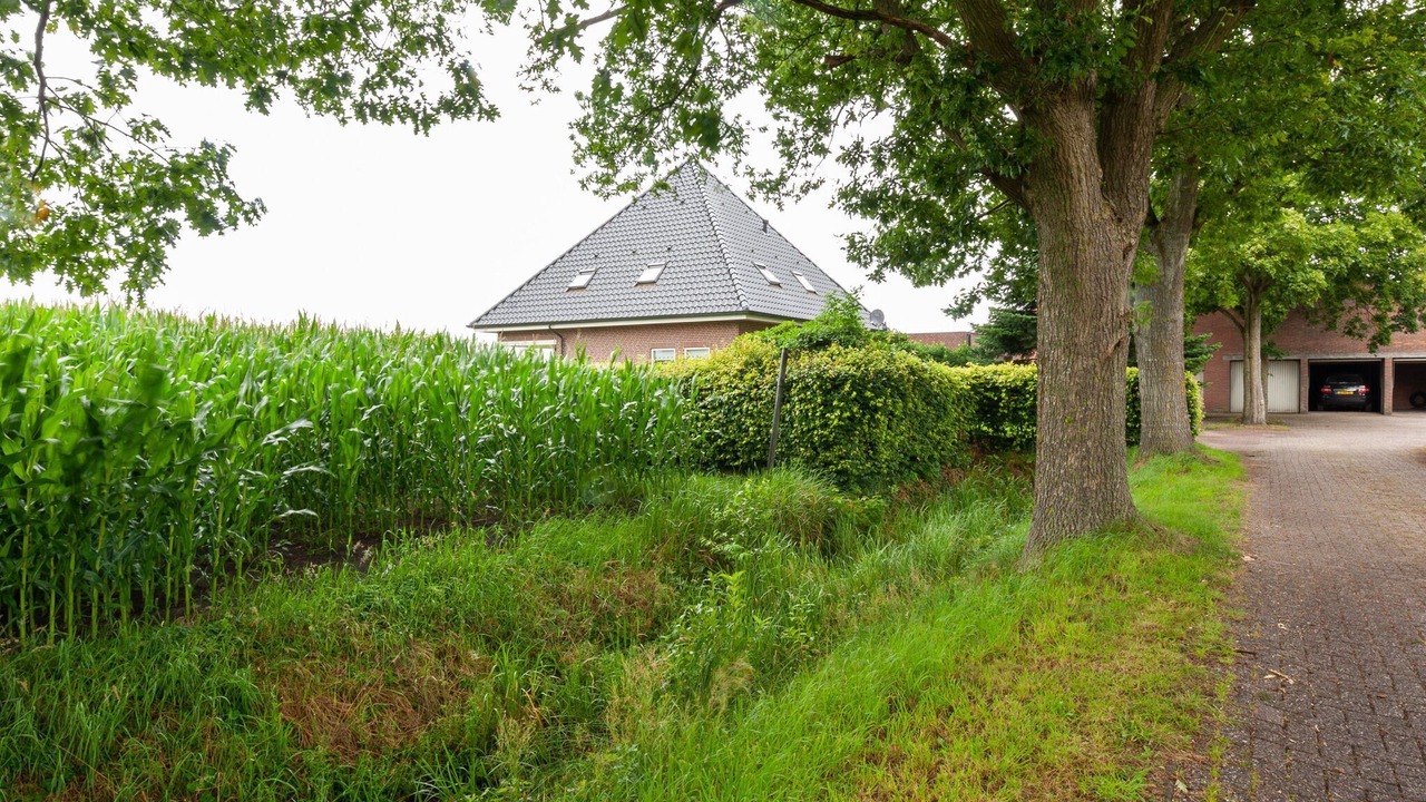 Photo of Outdoor in Balkbrug