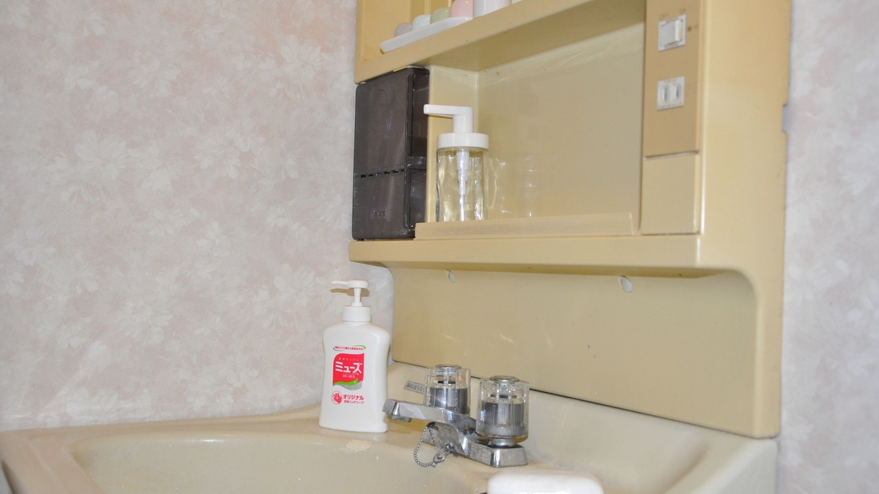 Photo of Bathroom in Kawagoe