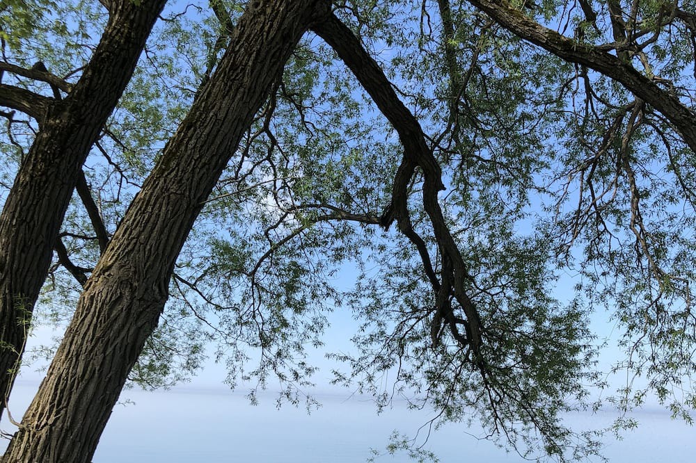 Photo of Outdoor in Lagoon City