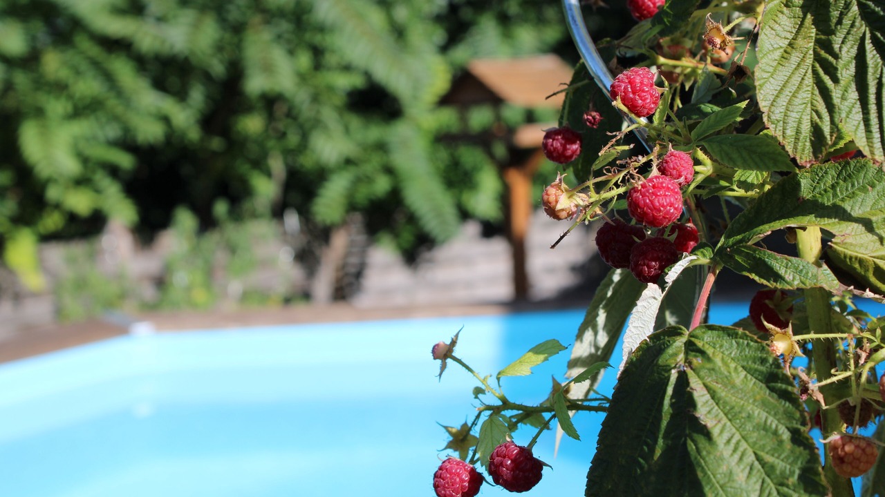 Photo of Outdoor in Routier